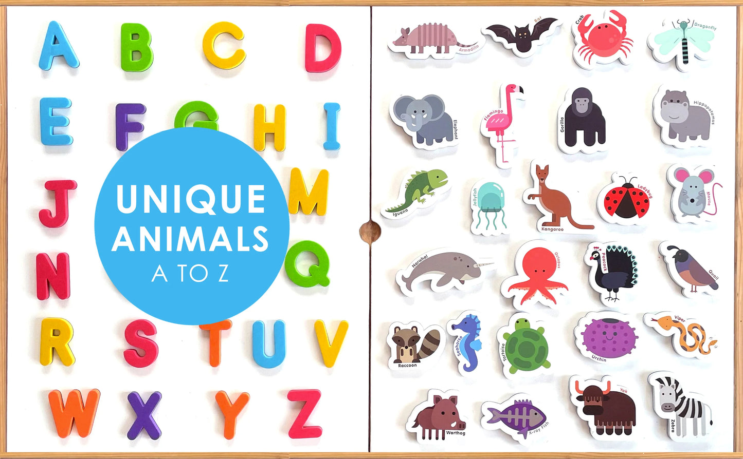 Magnetic Animals & Letters