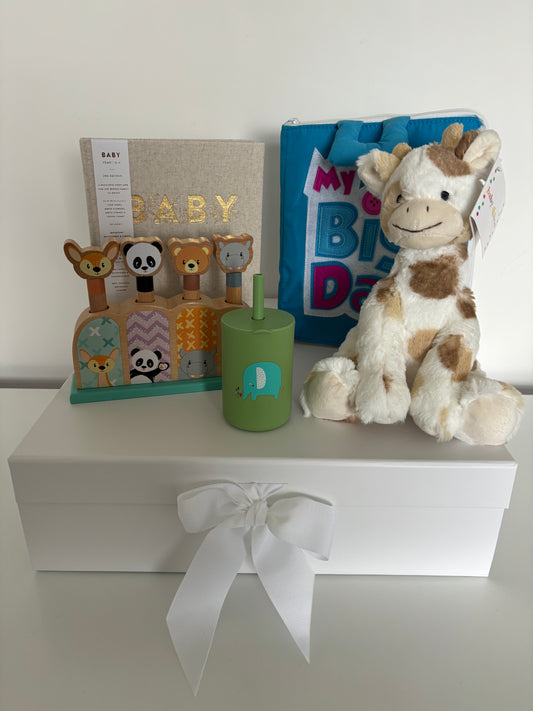 Baby Gift Hamper: Welcome Little One