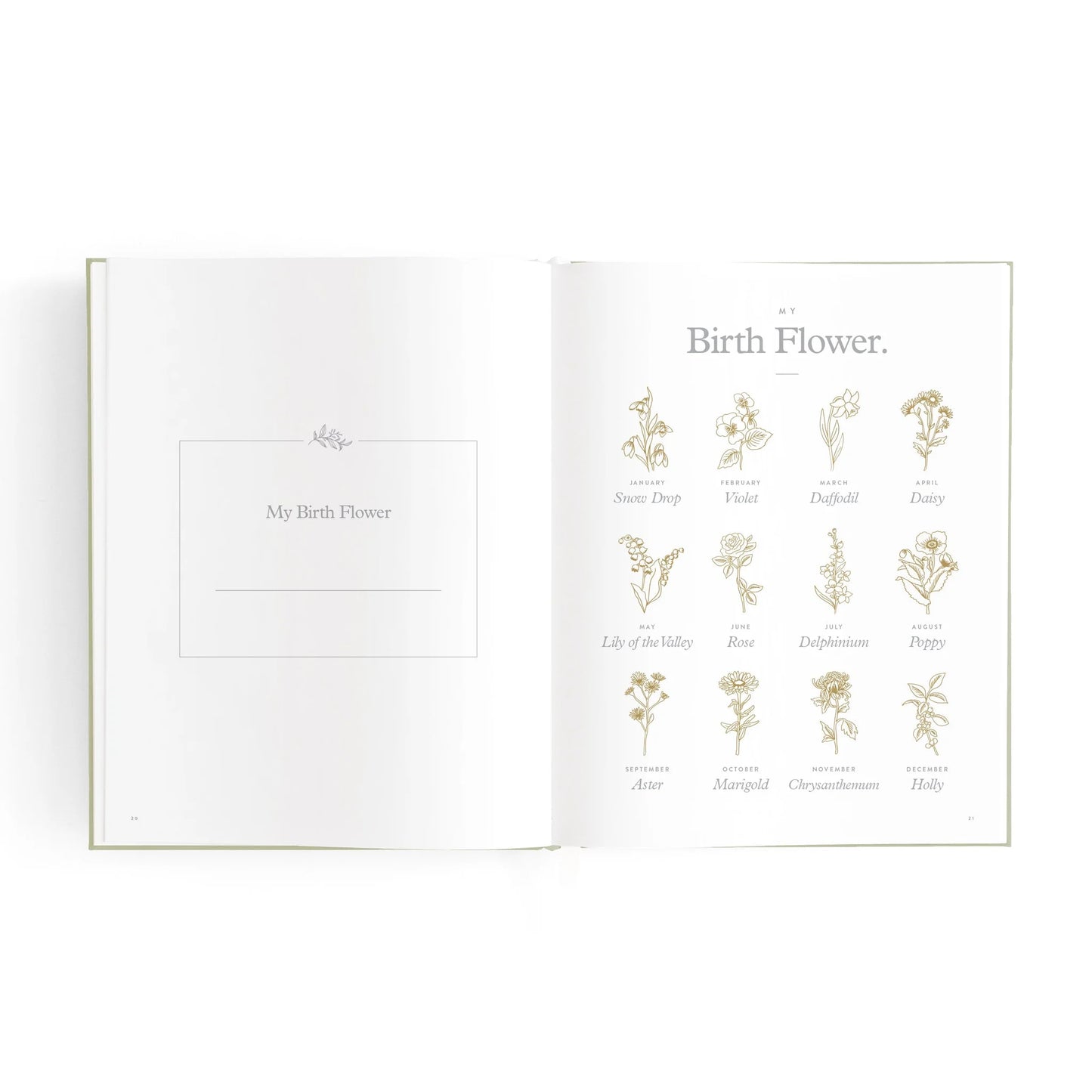 Mini Baby Book - Sage