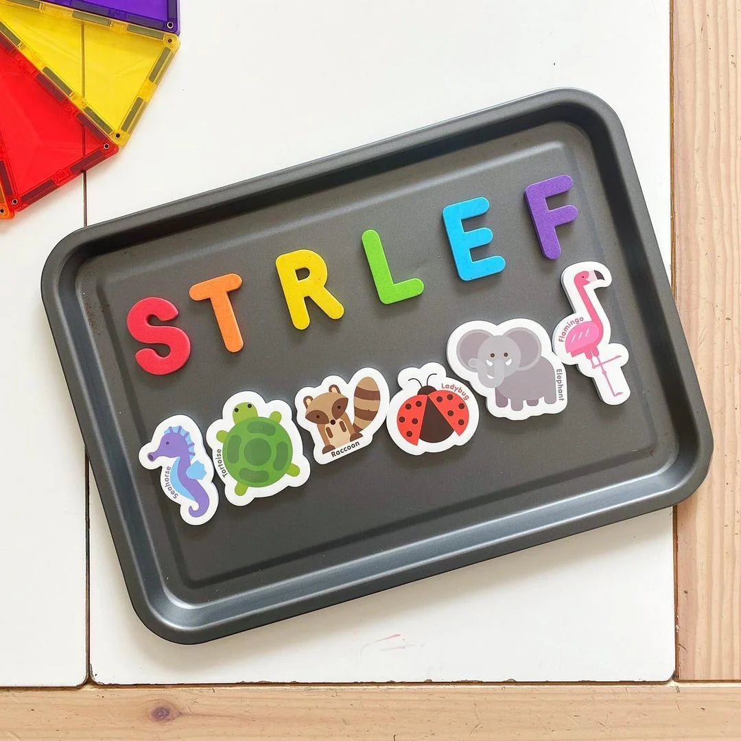 Magnetic Animals & Letters