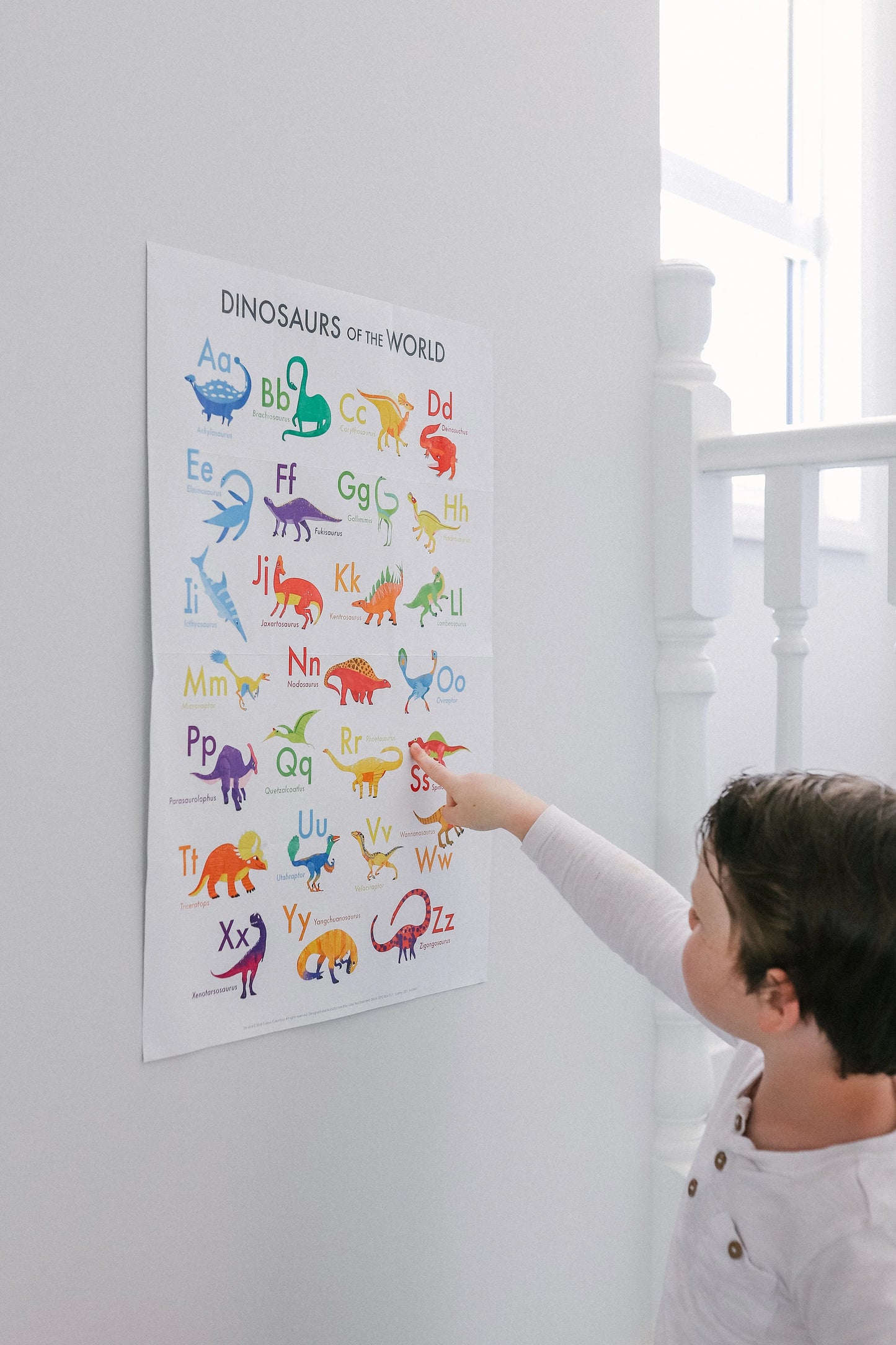 Magnetic Dinosaurs & Letters